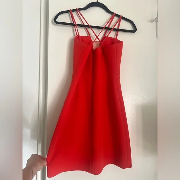 BCBG Cocktail Dress - Picture 3 of 5